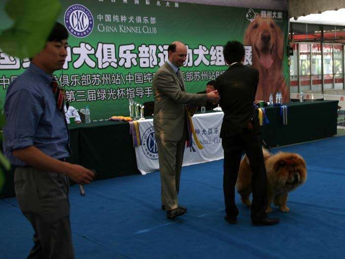 09.5.10日第三届苏州国际名犬展小现金获松狮犬冠军BOB非运动组冠军BIG