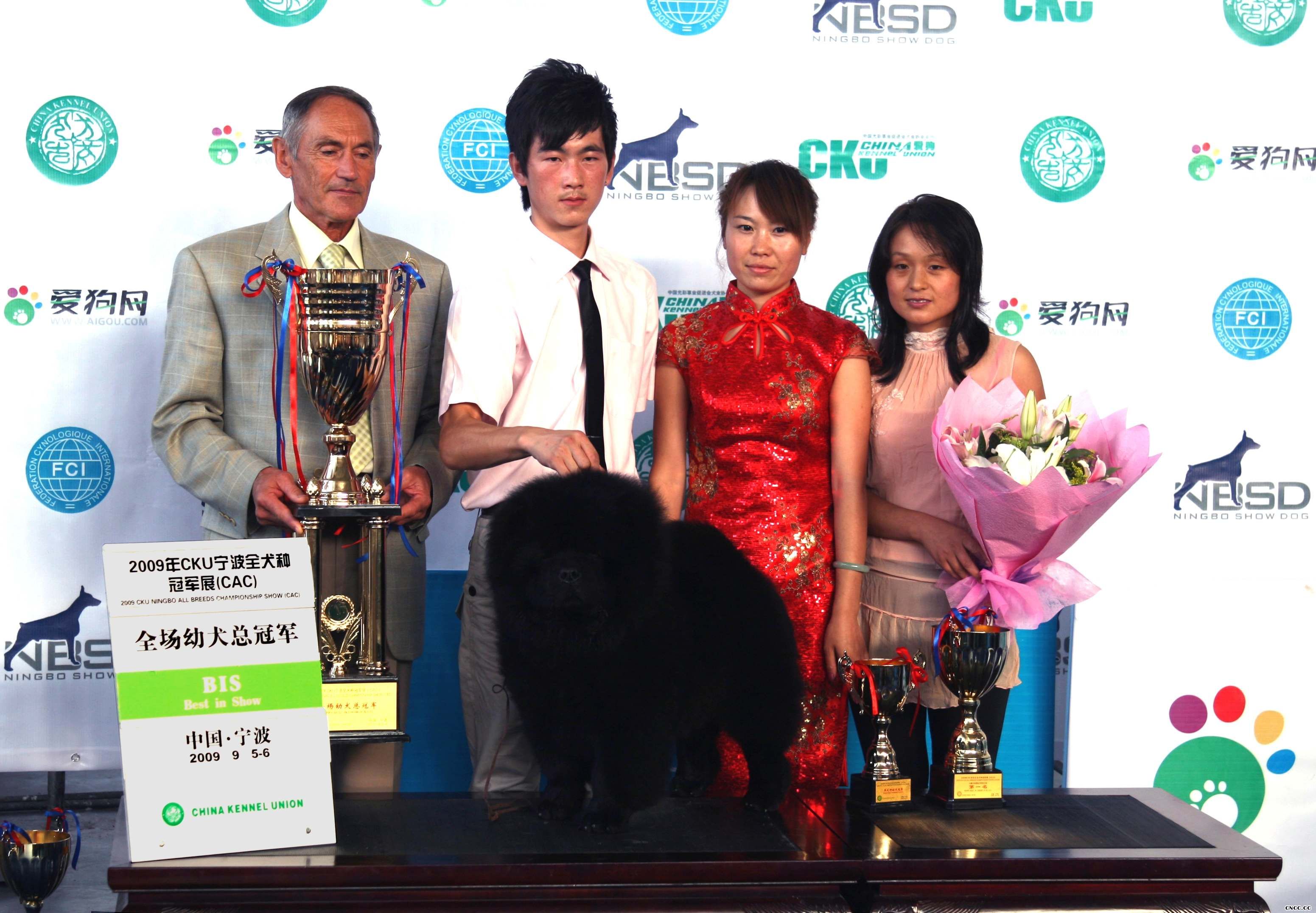 CKU宁波全犬种冠军展CAC黑牛获得全场总冠军BIS