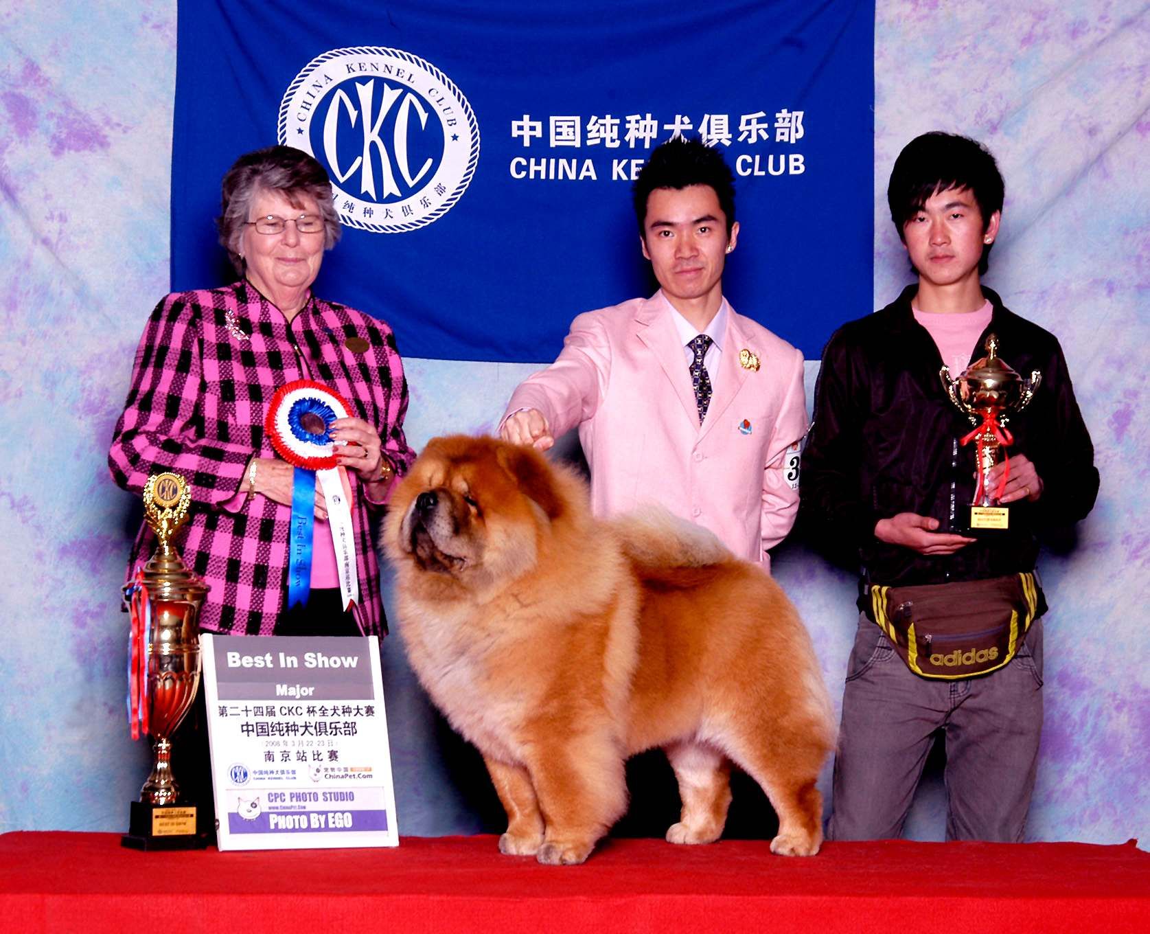 小现金FIRST CASH获25届CKC全犬种大赛全场总冠军