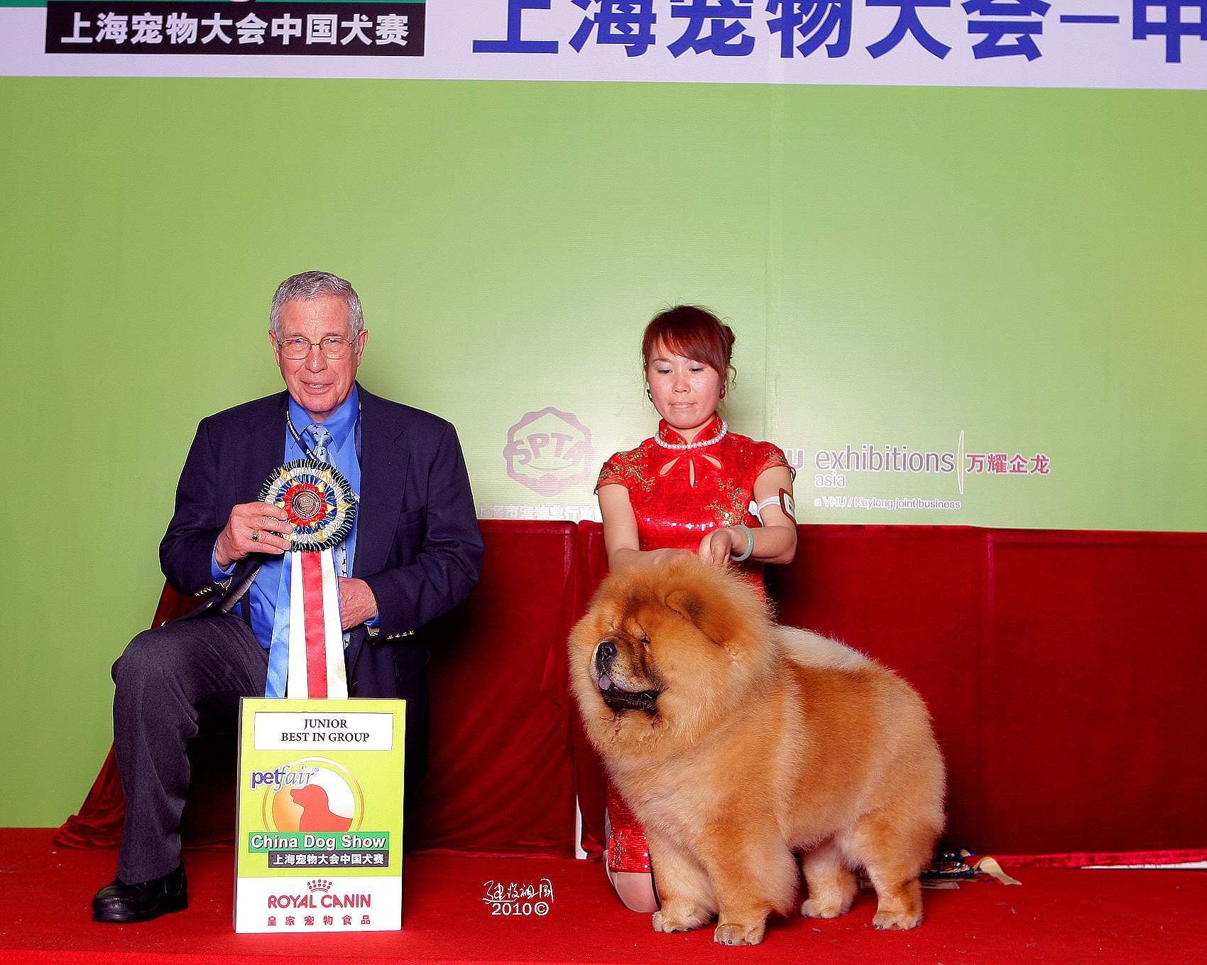 上海宠物大会战神获非运动组冠军BIG