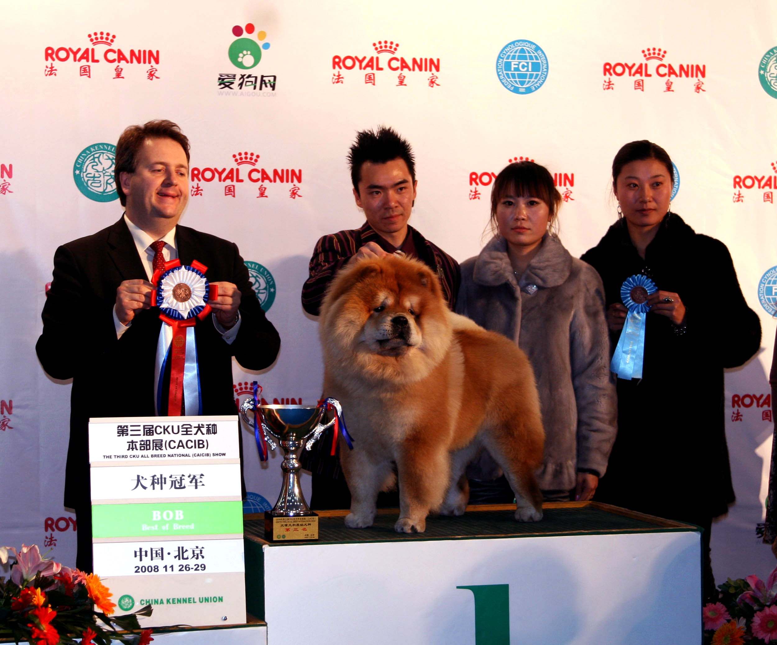 HOPE获第三届CKU全犬种本部展松狮犬种冠军BOB