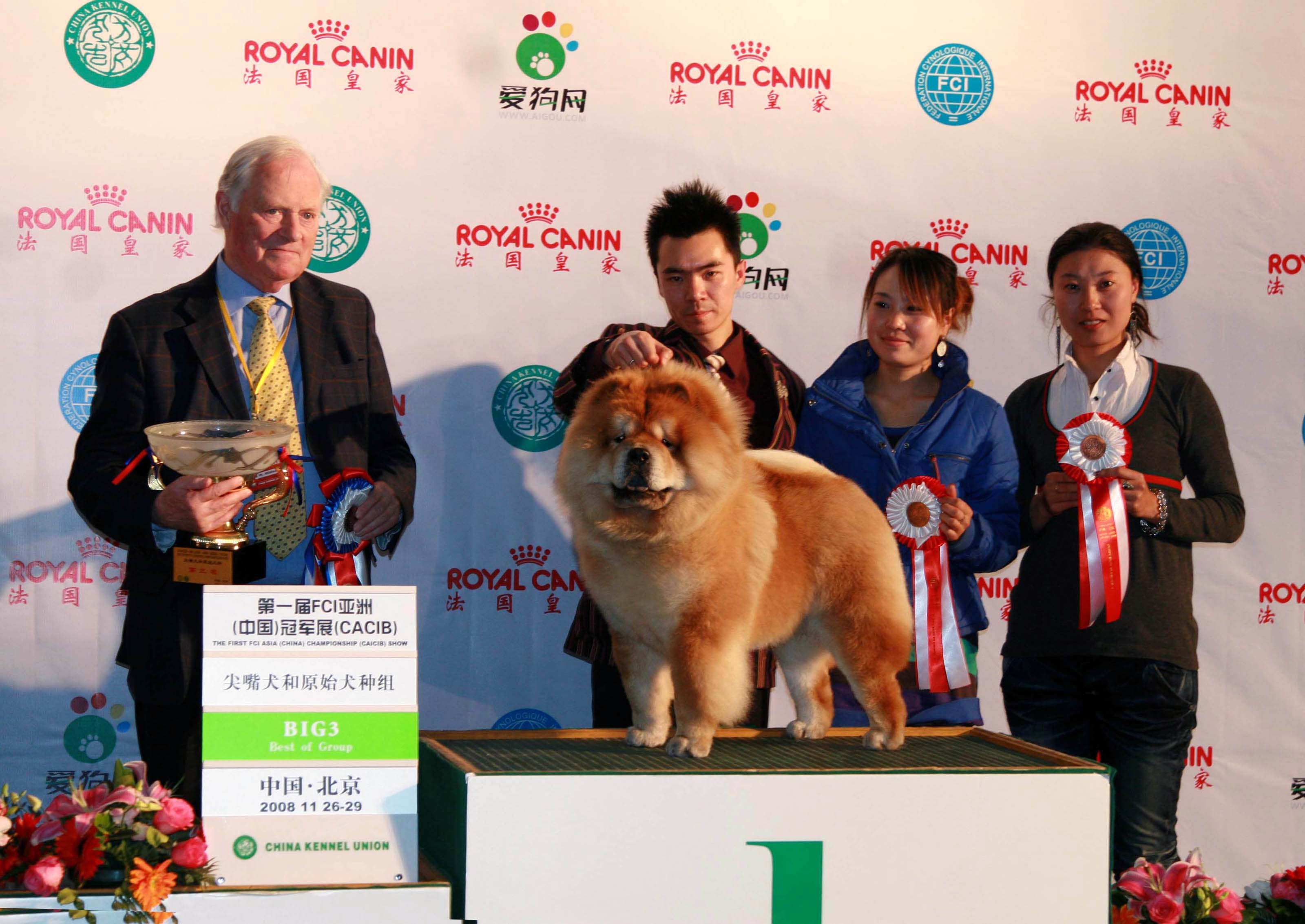 HOPE第一届FCI亚洲中国冠军展松狮犬冠军