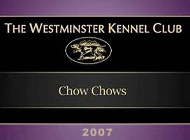2005美国西敏寺松狮比赛视频AKC CHOW CHOW DOG SHOW