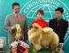 松狮冠军2006FCI全犬种中国冠军展松狮犬冠军FIRST SUNNY