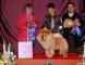 松狮冠军09年3月6日上海佛爷获得全场总冠军BIS和超级BIS