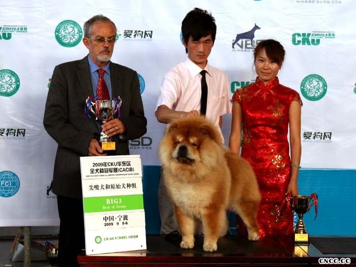 2009年9月5-6日FCI华东区全犬种国际冠军展(CACIB) HOPE获得尖嘴原生组BIG2 松狮冠军BOB 