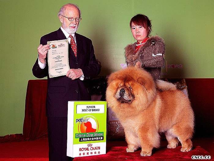 2010年3月13日-14日上海宠物大会中国犬赛战神获得2个非运动组冠军BIG松狮冠军