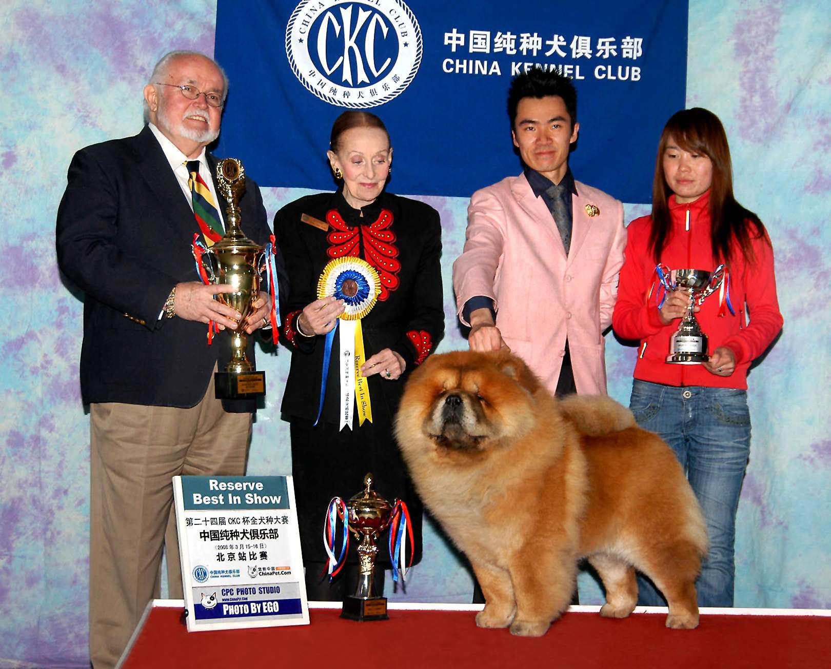 小现金FIRST CASH获北京CKC全犬种比赛全场总冠军