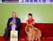 松狮犬高清图片上海宠物大会战神获非运动组冠军BIG