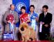 松狮犬高清图片第三届苏州国际名犬展战神获全场总冠军BIS