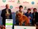 松狮犬高清图片LEADER获第一届FCI亚洲（中国）冠军展松狮冠军